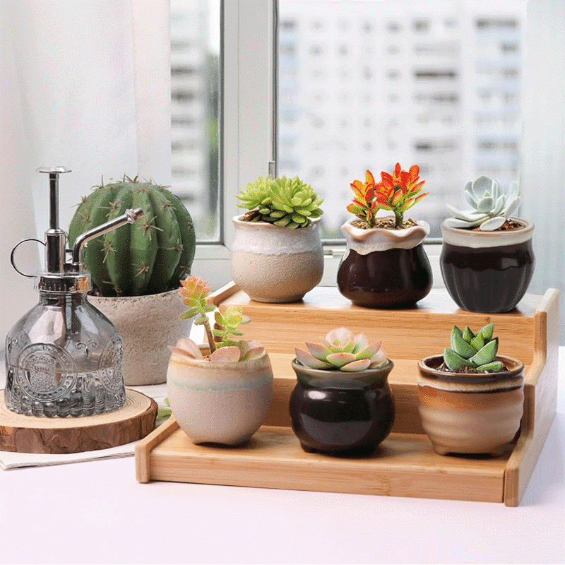 2.5-Inch Candy Style Ceramic Succulent Pots | Set of 6 thumbnail 2