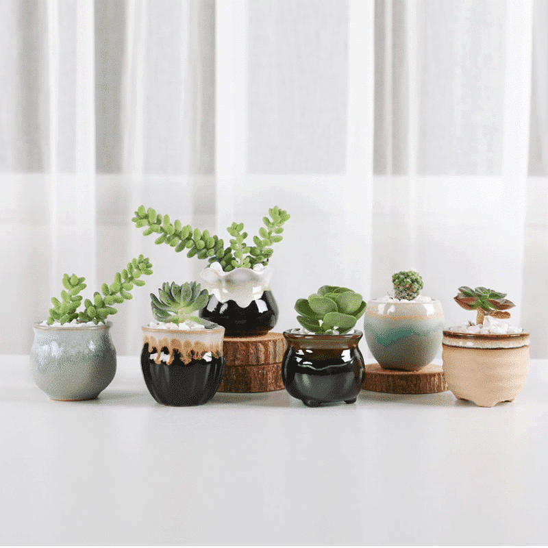 2.5-Inch Candy Style Ceramic Succulent Pots | Set of 6 thumbnail 3
