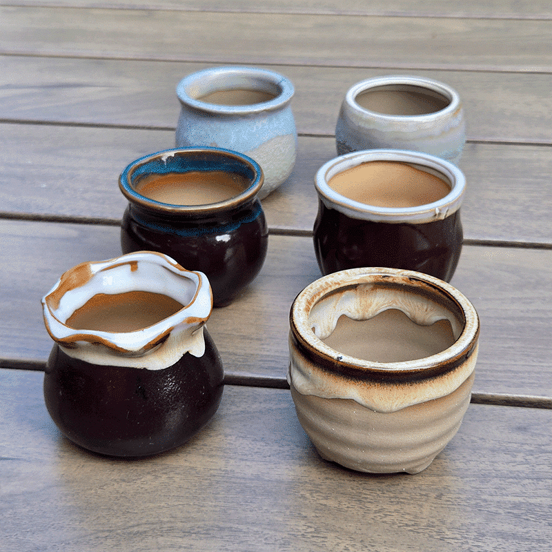 2.5-Inch Candy Style Ceramic Succulent Pots | Set of 6 thumbnail 6