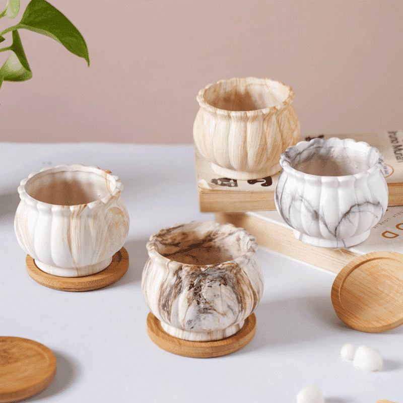 3-Inch Cinzia Ivory Ceramic Succulent Planter Pots with Bamboo Trays | Set of 4 thumbnail 2