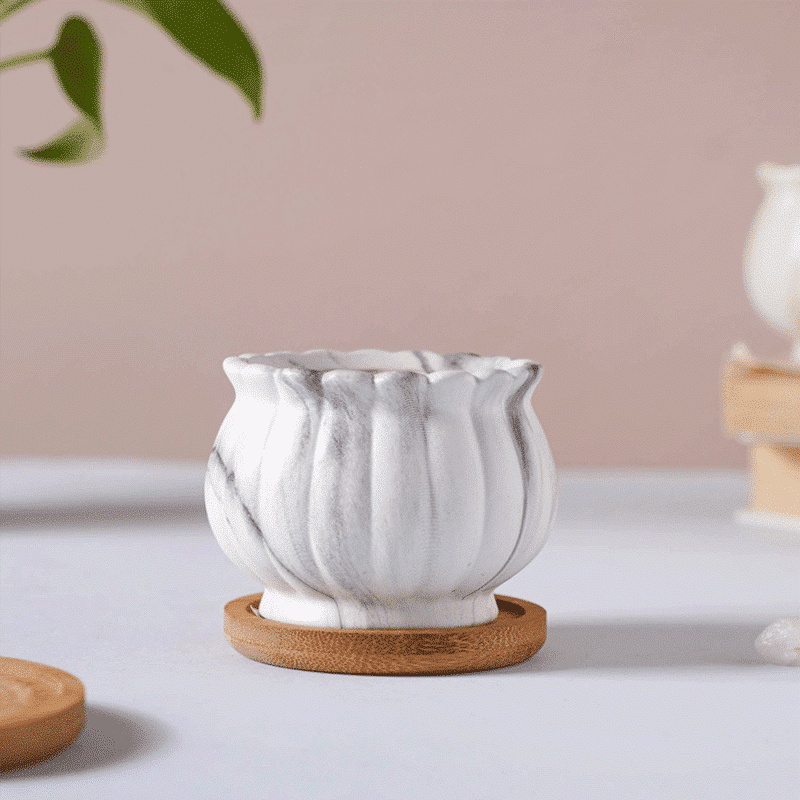 3-Inch Cinzia Ivory Ceramic Succulent Planter Pots with Bamboo Trays | Set of 4 thumbnail 3