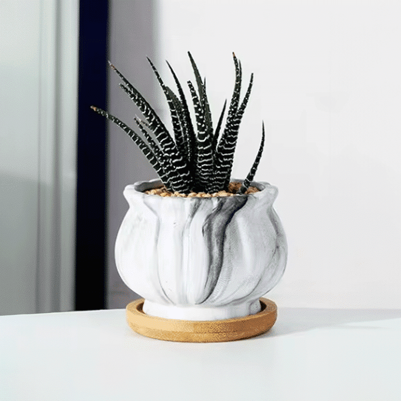 3-Inch Cinzia Ivory Ceramic Succulent Planter Pots with Bamboo Trays | Set of 4 thumbnail 7