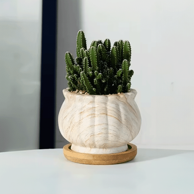 3-Inch Cinzia Ivory Ceramic Succulent Planter Pots with Bamboo Trays | Set of 4 thumbnail 8
