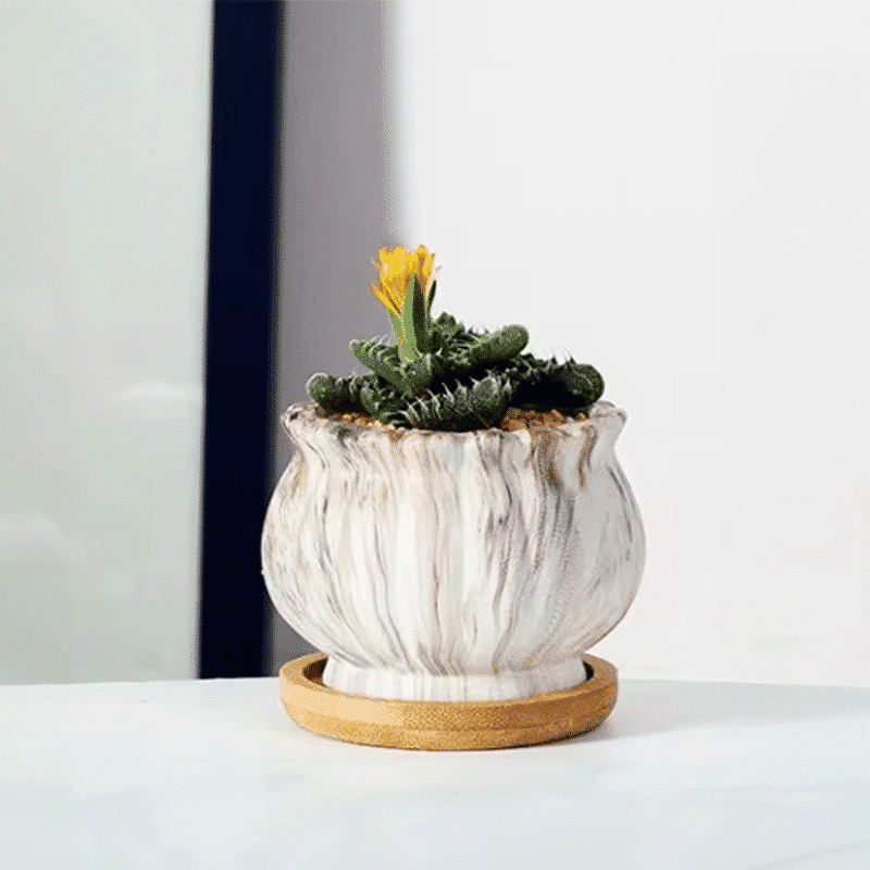 3-Inch Cinzia Ivory Ceramic Succulent Planter Pots with Bamboo Trays | Set of 4 thumbnail 6