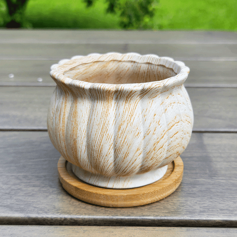 3-Inch Cinzia Ivory Ceramic Succulent Planter Pots with Bamboo Trays | Set of 4 thumbnail 10