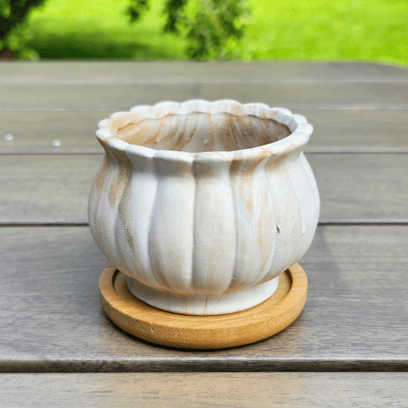 3-Inch Cinzia Ivory Ceramic Succulent Planter Pots with Bamboo Trays | Set of 4 thumbnail 11