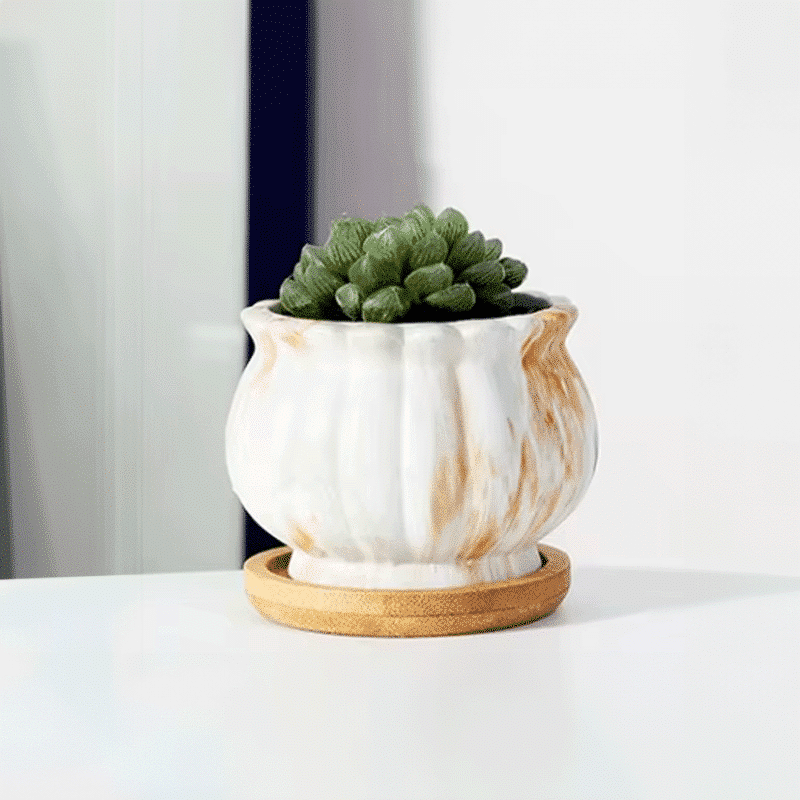 3-Inch Cinzia Ivory Ceramic Succulent Planter Pots with Bamboo Trays | Set of 4 thumbnail 5