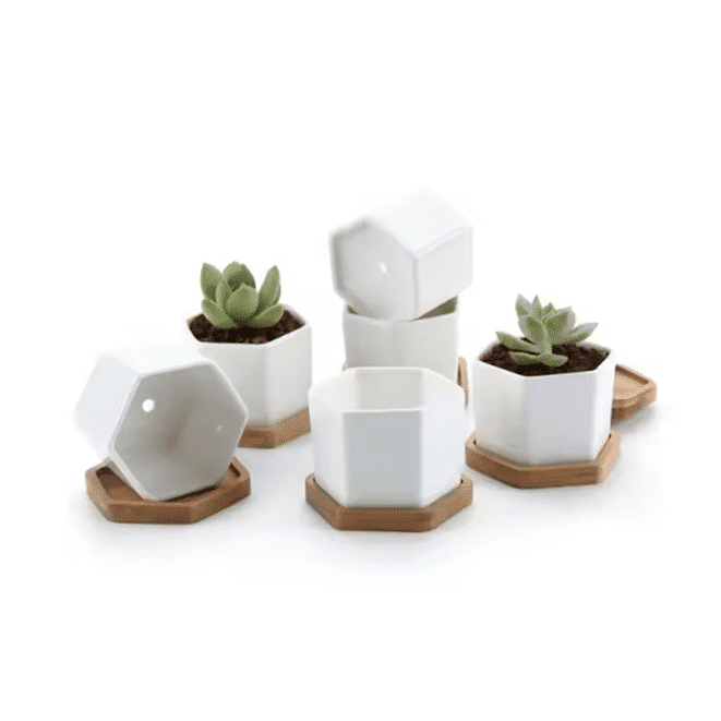 2.5 Inch Small Hexagon Ceramic Succulent Pot with Bamboo Tray thumbnail 2