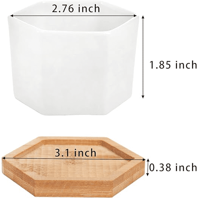 2.5 Inch Small Hexagon Ceramic Succulent Pot with Bamboo Tray thumbnail 3