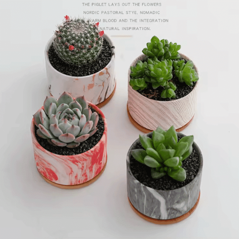 3.5-Inch Nordic Marble Colorful Stripe Ceramic Succulent Pots with Bamboo Trays | Set of 4 thumbnail 2