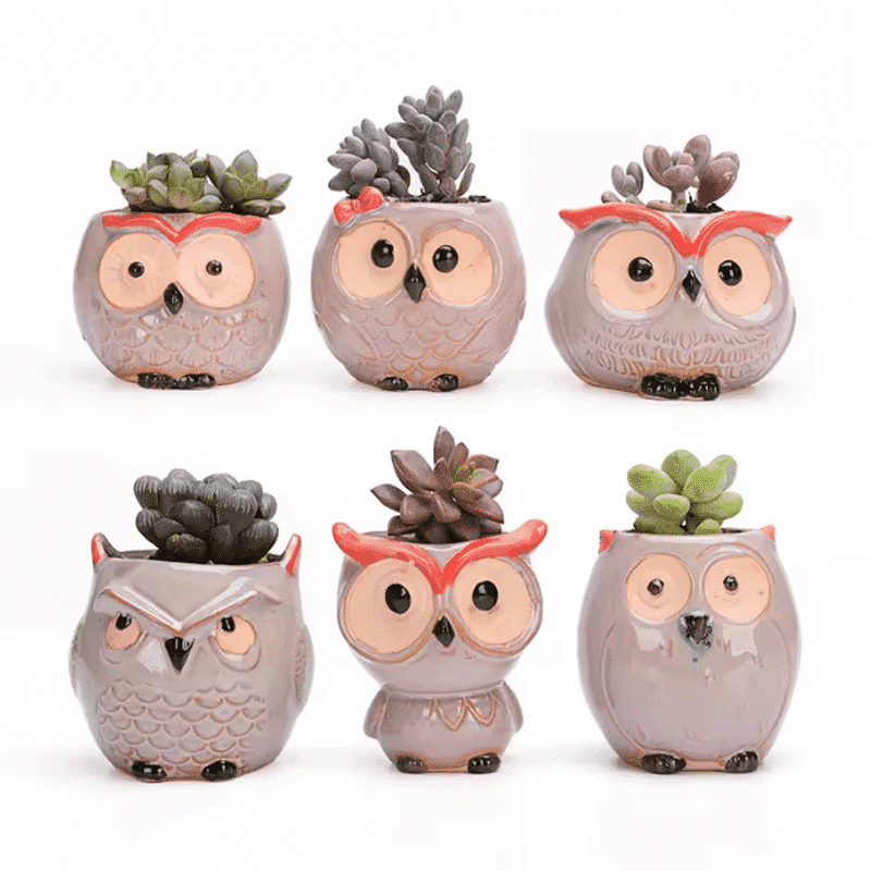 2.5-Inch Cute Ceramic Owl Succulent Planter Pots | Set of 6 thumbnail 2