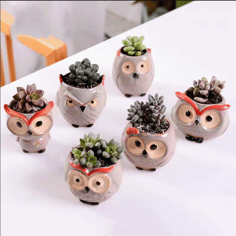2.5-Inch Cute Ceramic Owl Succulent Planter Pots | Set of 6 thumbnail 3