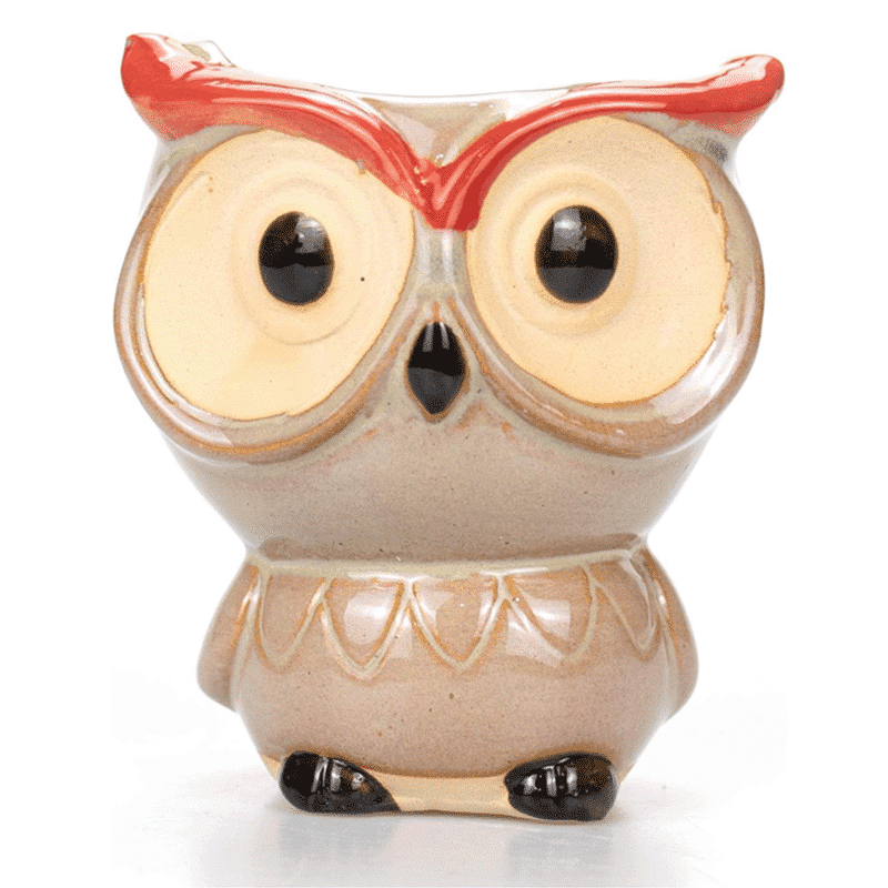 2.5-Inch Cute Ceramic Owl Succulent Planter Pots | Set of 6 thumbnail 4