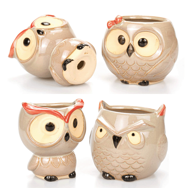 2.5-Inch Cute Ceramic Owl Succulent Planter Pots | Set of 6 thumbnail 5