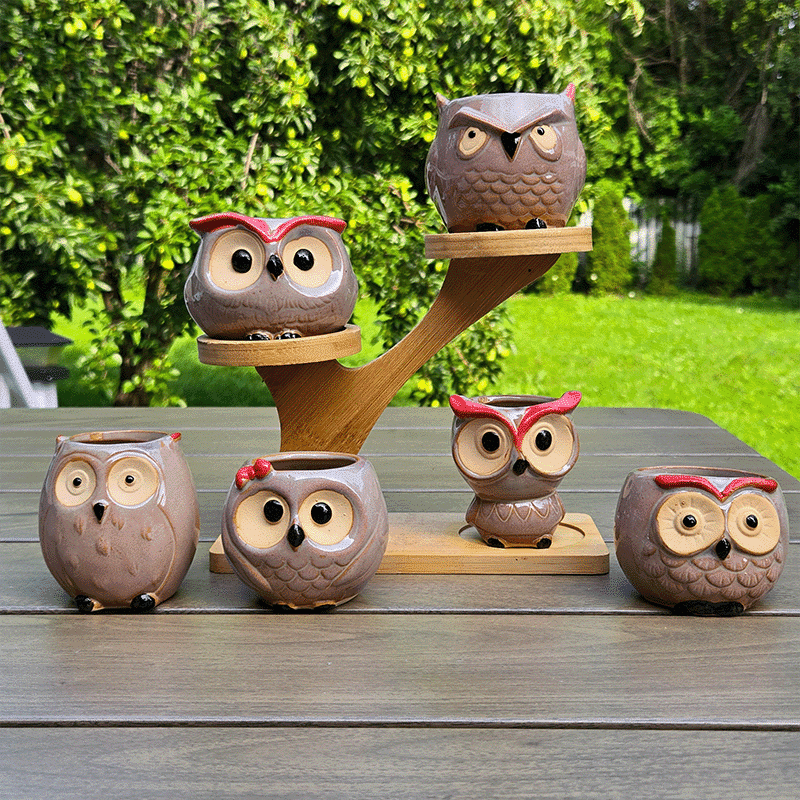 2.5-Inch Cute Ceramic Owl Succulent Planter Pots | Set of 6 thumbnail 7