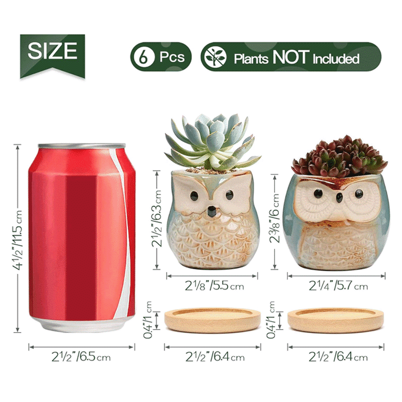 2.5-Inch Cute Ceramic Owl Succulent Pots with Bamboo Trays | Set of 6 thumbnail 5