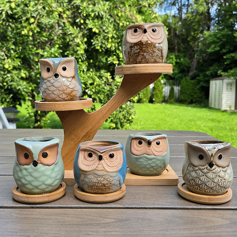 2.5-Inch Cute Ceramic Owl Succulent Pots with Bamboo Trays | Set of 6 thumbnail 7