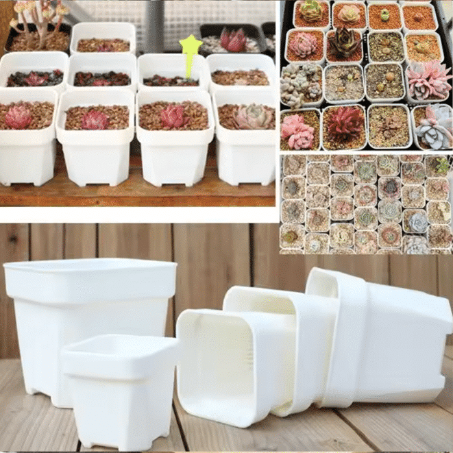 White Plastic Square Nursery Succulent Pot / Set of 2 thumbnail 5