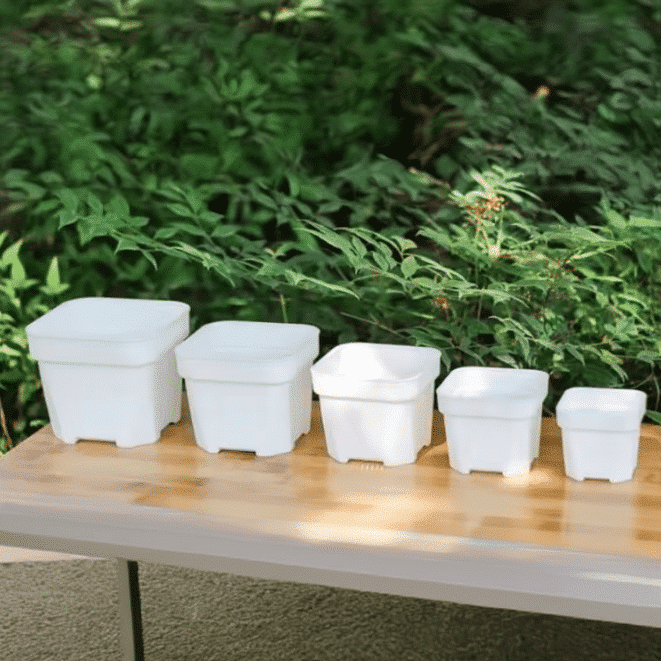 White Plastic Square Nursery Succulent Pot / Set of 2 thumbnail 2